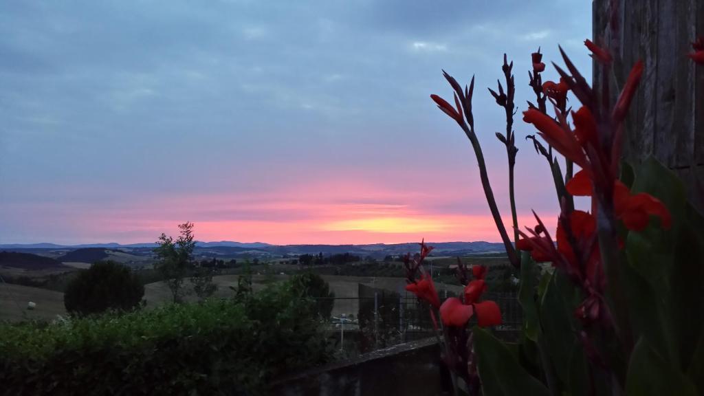 Agriturismo Marruchetone Vecchio Manciano Buitenkant foto